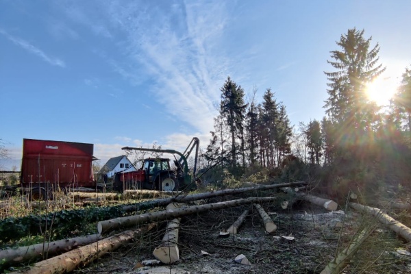 De professionele boomverzorgers van Groentechniek Klomp zijn ook in te zetten voor groot bos onderhoud.